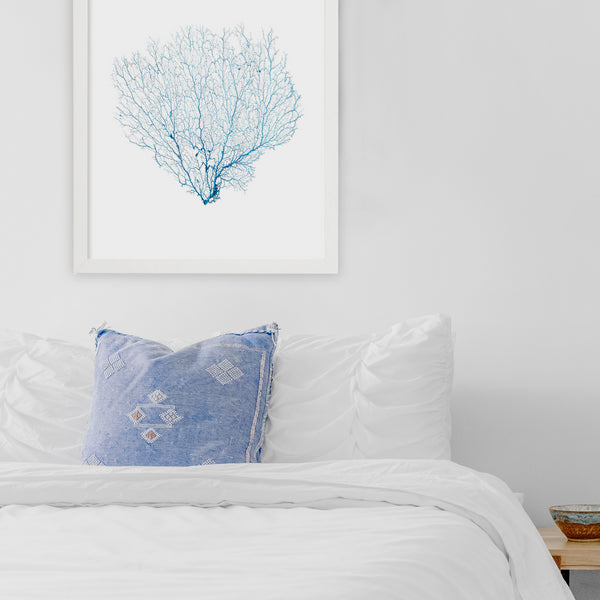 Framed Blue Sea Fan - White Frame